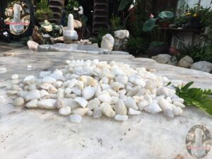091036 da thach anh vun trang 4