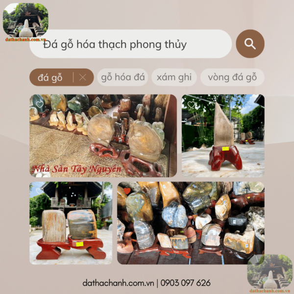 đá gỗ hóa thạch