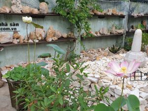 da thach anh vun trang tho 4x6 1 1