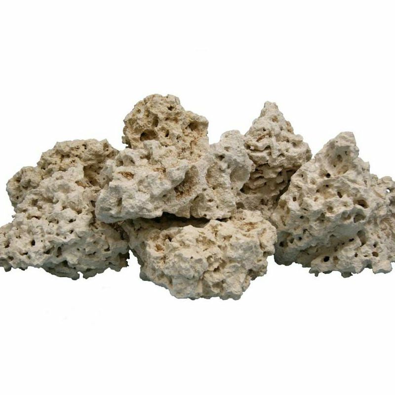 Tìm hiểu về đá san hô
