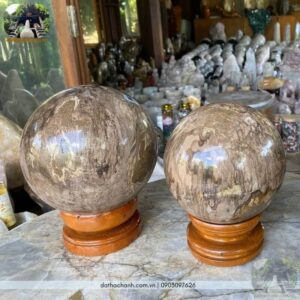 quả cầu gỗ hóa thạch