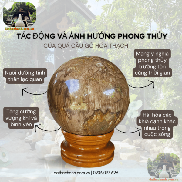 gỗ hóa thạch hợp mệnh gì