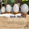 qua trung da thach anh 4