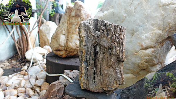 Gỗ hóa thạch thô thường sử dụng trong trấn trạch trừ tà