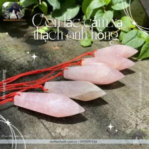 con lắc cảm xạ học