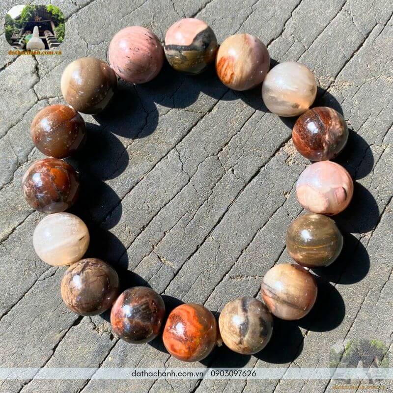 Gỗ hóa ngọc kỳ quan thiên nhiên mang vẻ đẹp vĩnh cửu 29 gỗ hóa ngọc