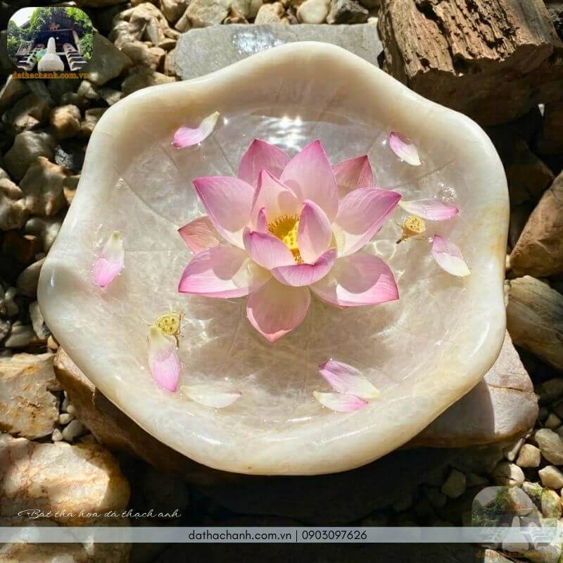 Bát thả hoa đá thạch anh: Ý nghĩa của bát nước thả hoa 34 bát thả hoa