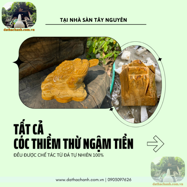 thiềm thừ ngậm tiền