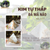 kim tu thap da ma nao 4