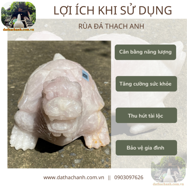 Có nên đặt tượng rùa trong nhà