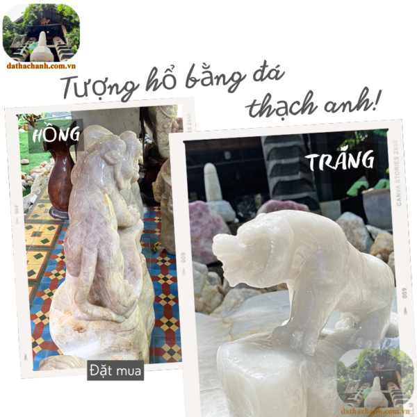 tượng hổ hợp với tuổi nào