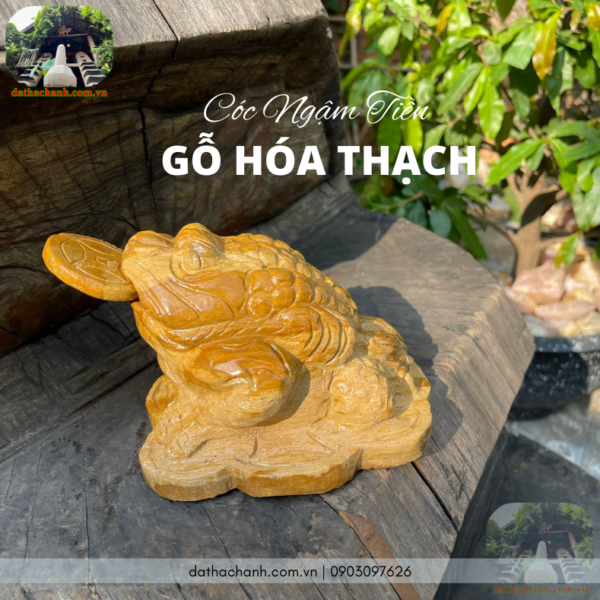 gỗ hóa thạch xám ghi