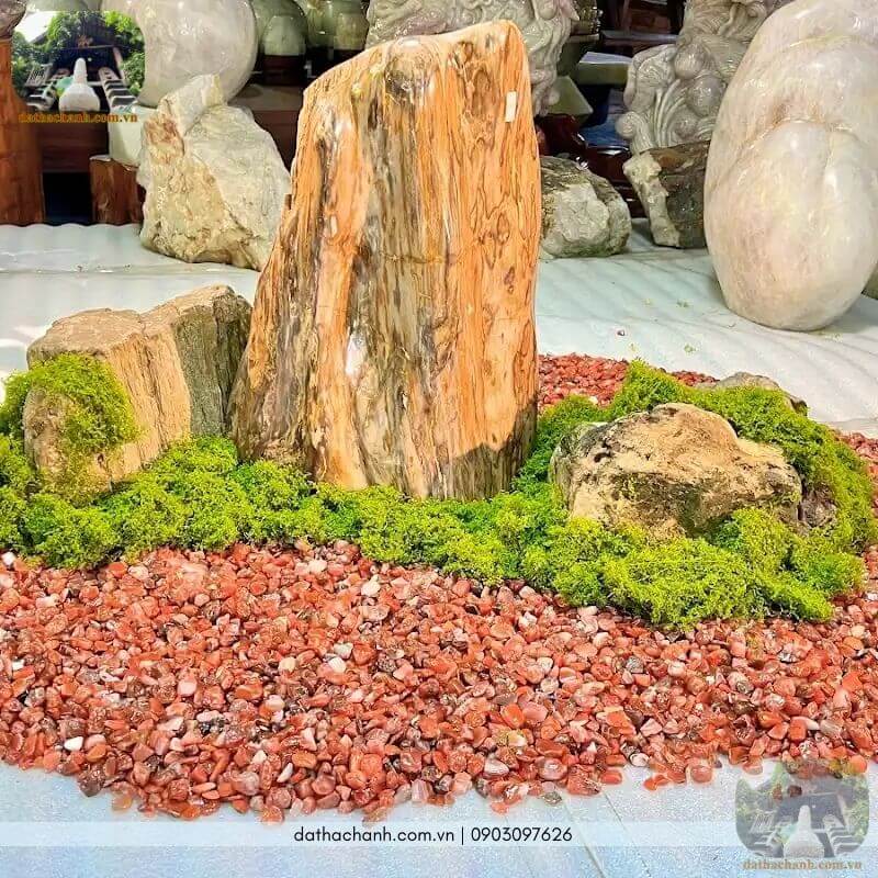 Mua gỗ hóa thạch xám ghi tự nhiên, chất lượng cao, giá tốt 33 gỗ hóa thạch xám ghi