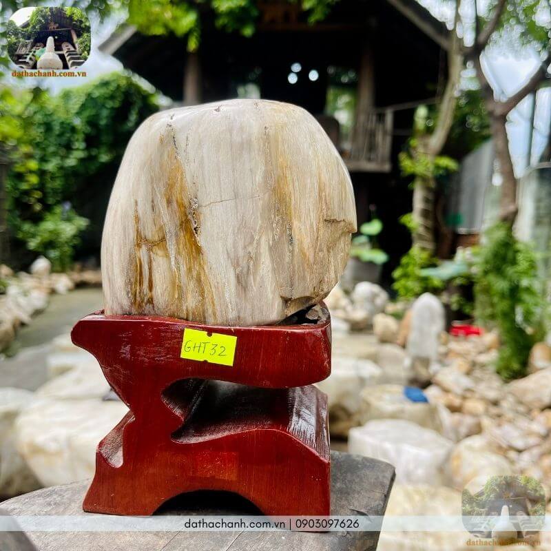 Mua gỗ hóa thạch xám ghi tự nhiên, chất lượng cao, giá tốt 34 gỗ hóa thạch xám ghi