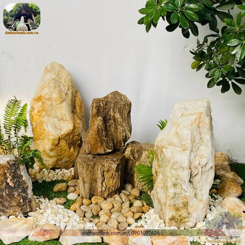 Mua gỗ hóa thạch xám ghi tự nhiên, chất lượng cao, giá tốt 32 gỗ hóa thạch xám ghi