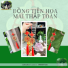 đồng tiền hoa mai thập toàn