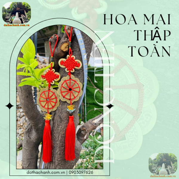 đồng tiền hoa mai thập toàn