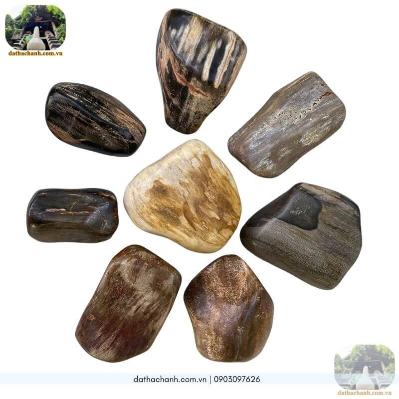 gỗ hóa thạch màu đen