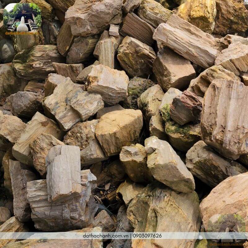 gỗ hóa thạch màu đen