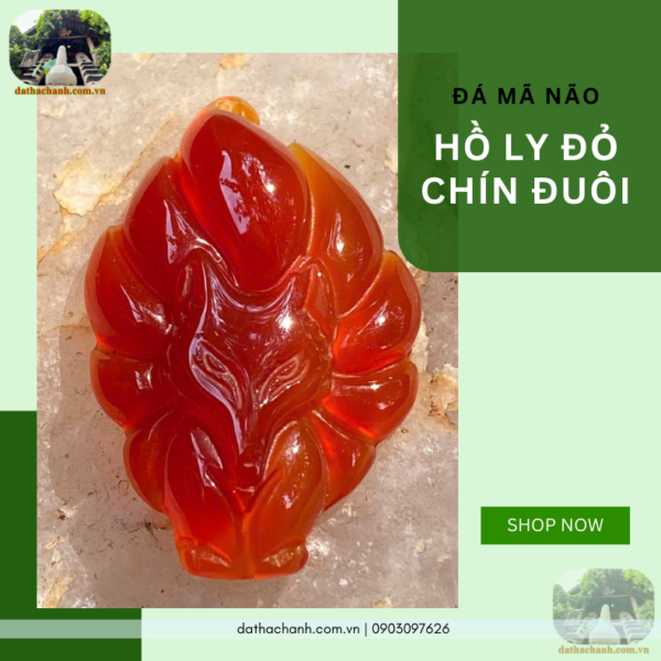 hồ ly đỏ chín đuôi