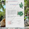 thạch anh aventurine