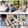 đá thạch anh trong xây dựng