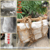Thái sơn thạch cảm đương