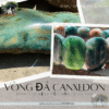 vòng đá Canxedon