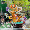 cây đá phong thủy để bàn