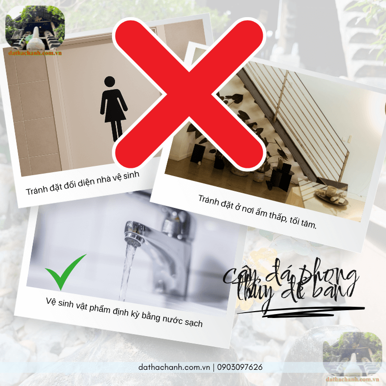 Cây đá phong thủy để bàn đẹp, quà tặng may mắn ý nghĩa 68 cây đá phong thủy để bàn