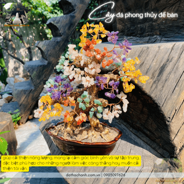 cây đá phong thủy để bàn