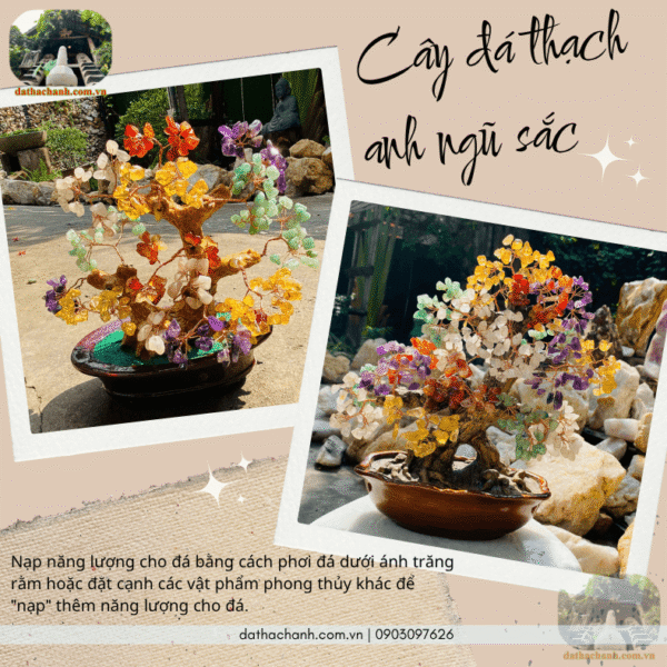 cây đá thạch anh ngũ sắc