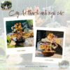 cây đá thạch anh ngũ sắc