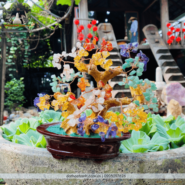 cây đá thạch anh ngũ sắc