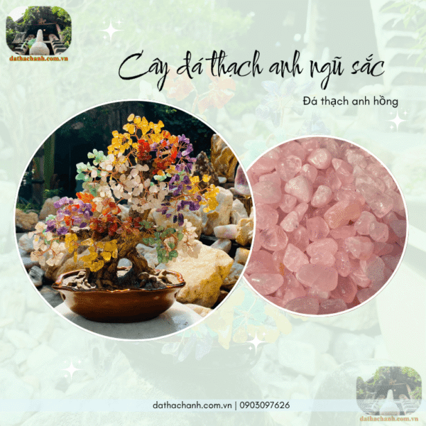cây đá thạch anh ngũ sắc