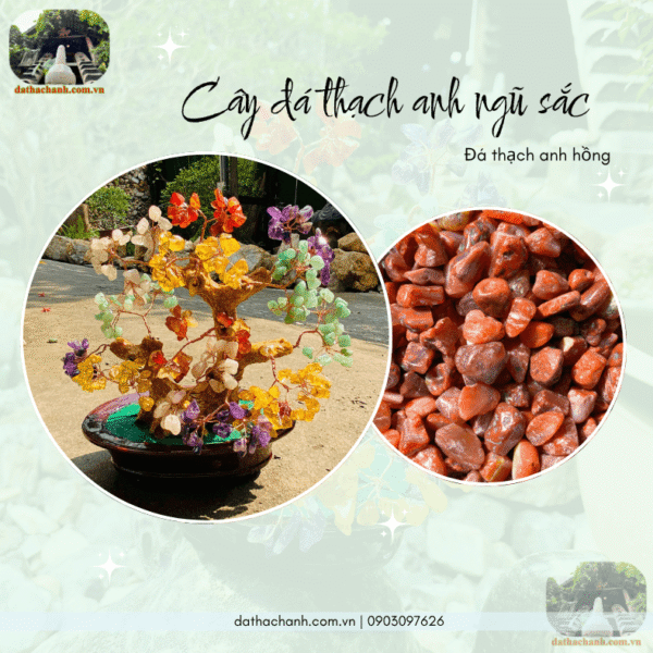 cây đá thạch anh ngũ sắc