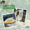 vòng tay đá mệnh hoả
