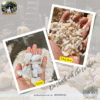 đá thạch anh thô tự nhiên