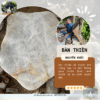 Đá thạch anh trắng tự nhiên trấn trạch, bảo vệ gia đạo bình an, năng lượng thanh khiết 77 đá thạch anh trắng tự nhiên