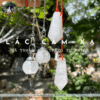 Đá thạch anh trắng tự nhiên trấn trạch, bảo vệ gia đạo bình an, năng lượng thanh khiết 87 đá thạch anh trắng tự nhiên
