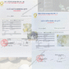 đá thạch anh trắng vụn
