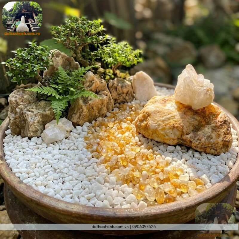 Thạch anh vàng vụn bóng tự nhiên 32 Dùng đá thạch anh vàng vụn bóng, đá thạch anh vụn trắng, đá thạch anh thô và đá gỗ hóa thạch kết hợp cùng cây xanh để làm tiểu cảnh