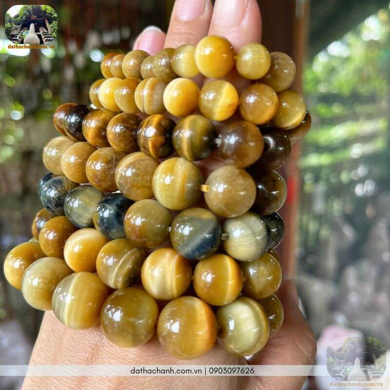 vòng mắt hổ vàng