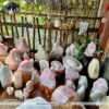 đá thạch anh hồng nguyên khối