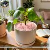 đá thạch anh hồng vụn