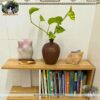 Đá thạch anh màu hồng 24 đá thạch anh màu hồng