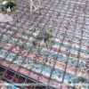Sử dụng đá thạch anh đa sắc vụn rải nền